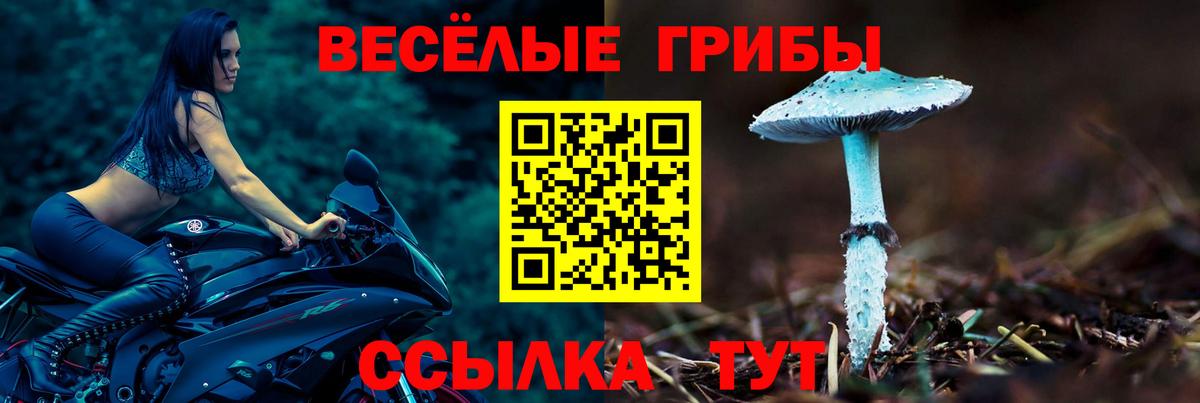 Верхняя Салда  купить наркотик  Вход с VPN  Псилоцибиновые грибы Psilocybine cubensis  Псилоцибиновые грибы Cubensis 